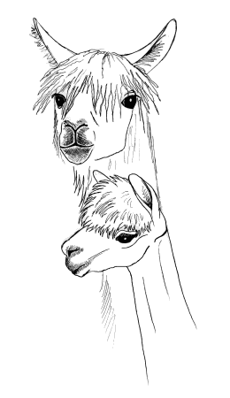 Alpaca logo