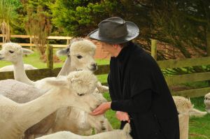 Logo Image of an Alpaca